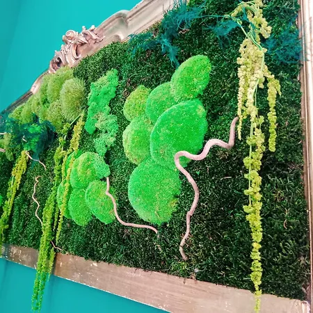 Bed & Breakfast Via Cattedrale 5 Bitonto