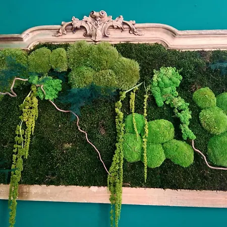 Via Cattedrale 5 3* Bitonto